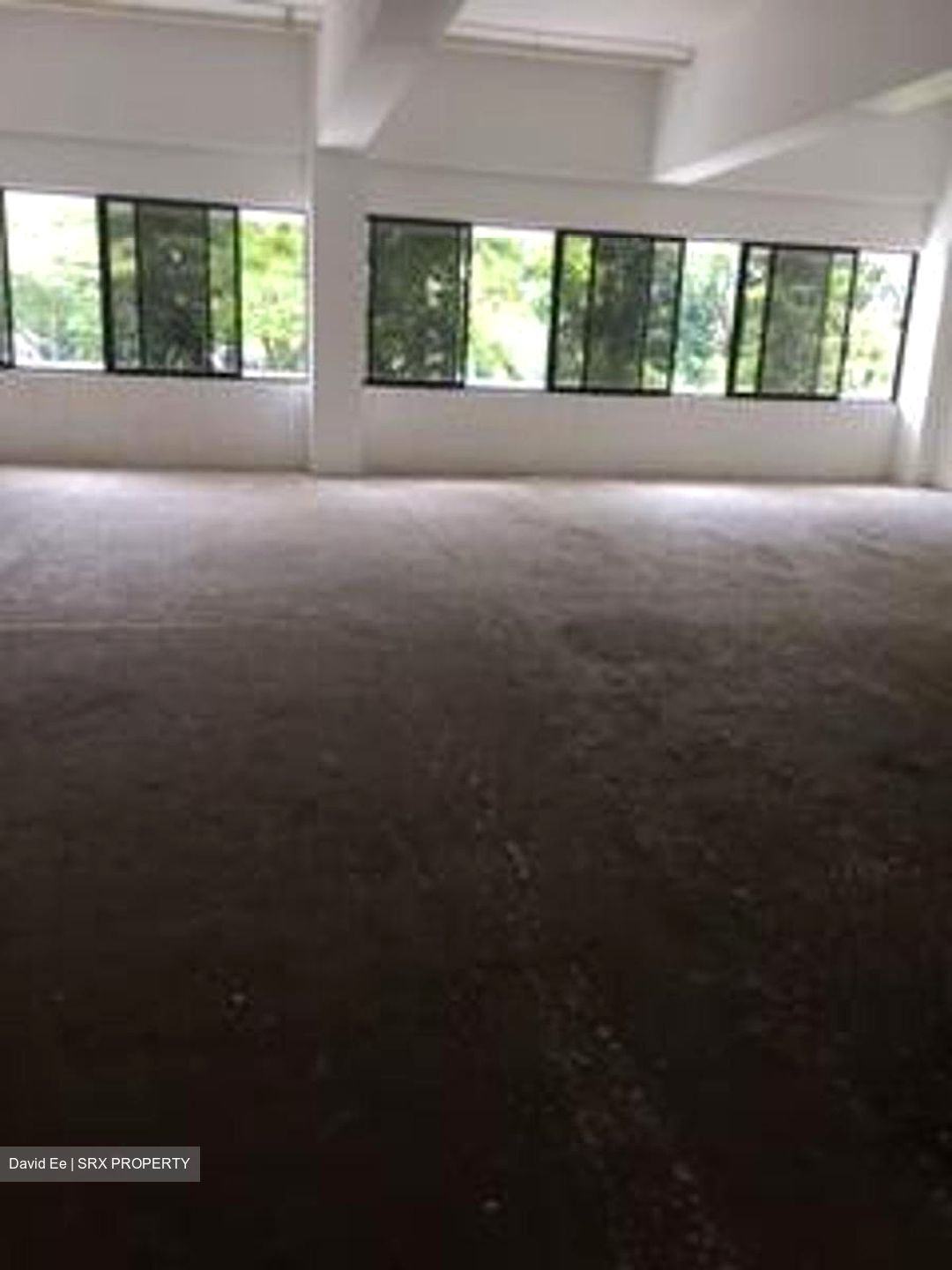 The Curie (D5), Factory #285802681